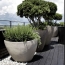  Annonces THONON : Appartement | MESSERY (74140) | 122 m2 | 635 900 &euro; 